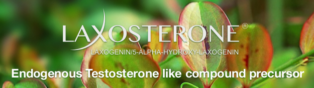 Lifesolic ™ 450mg + Laxogenina 50mg + Piperina 5mg Pote 60 Cápsulas